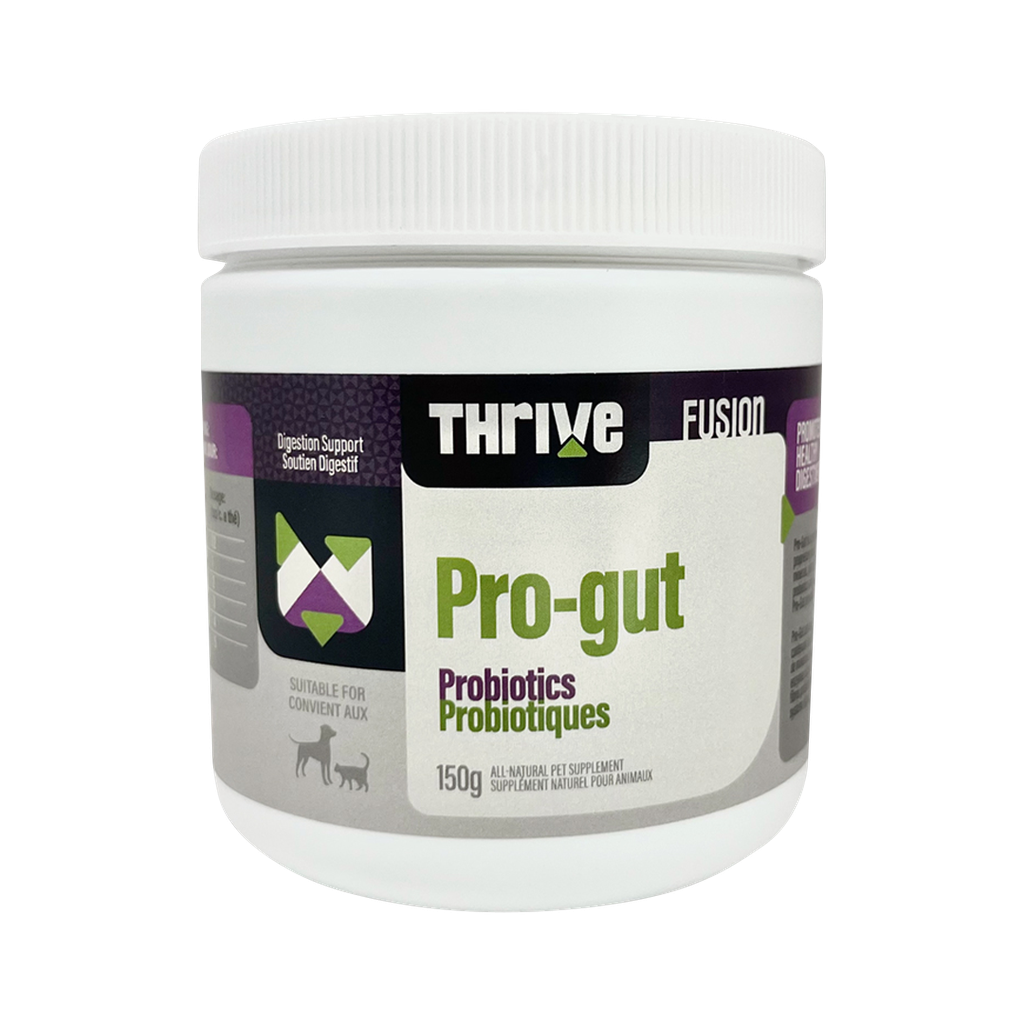 Big Country Raw Thrive Pro Gut 150g