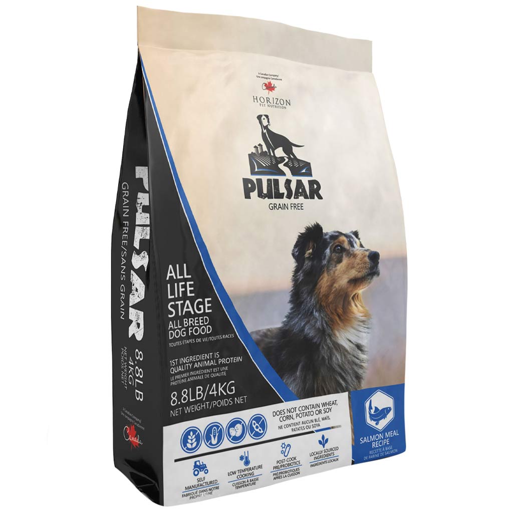 PULSAR GF DOG SALMON 4KG