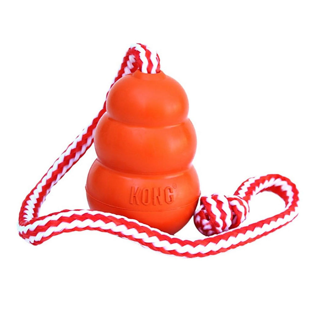 KONG AQUA W/ ROPE LARGE