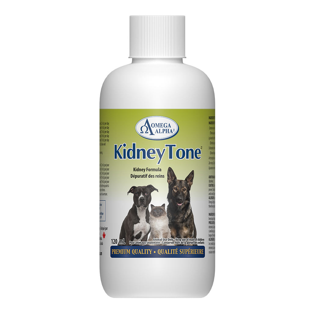 DMB - OMEGA ALPHA PET KIDNEY TONE 120ML