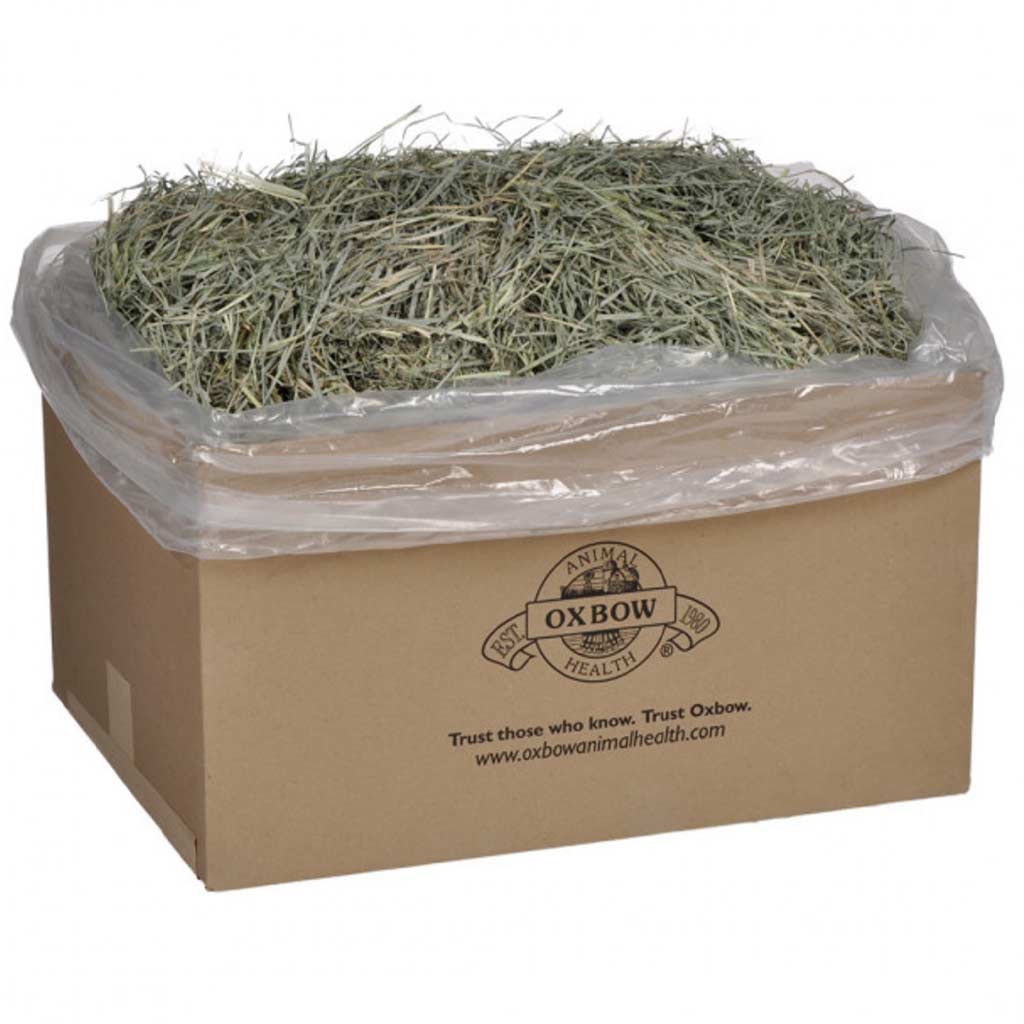 OXBOW WESTERN TIMOTHY HAY 22.68KG (50LB)