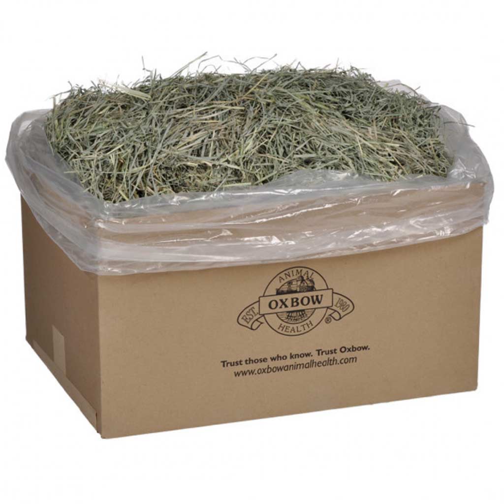 OXBOW WESTERN TIMOTHY HAY 50LB