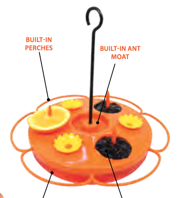 PINEBUSH ORIOLE TRAY FEEDER FOR NECTAR & JELLY