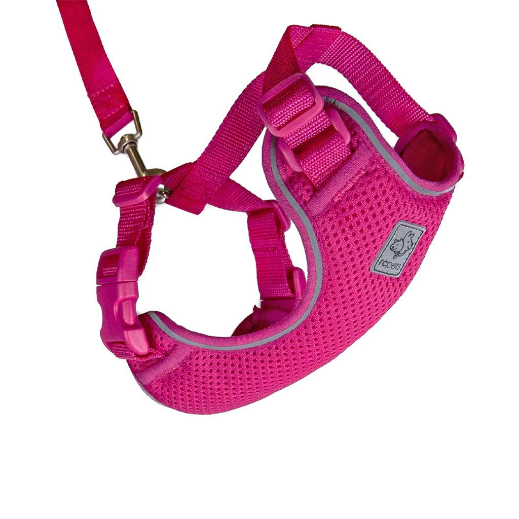 DR - RC PETS ADVENTURE KITTY HARNESS LRG RASPBERRY