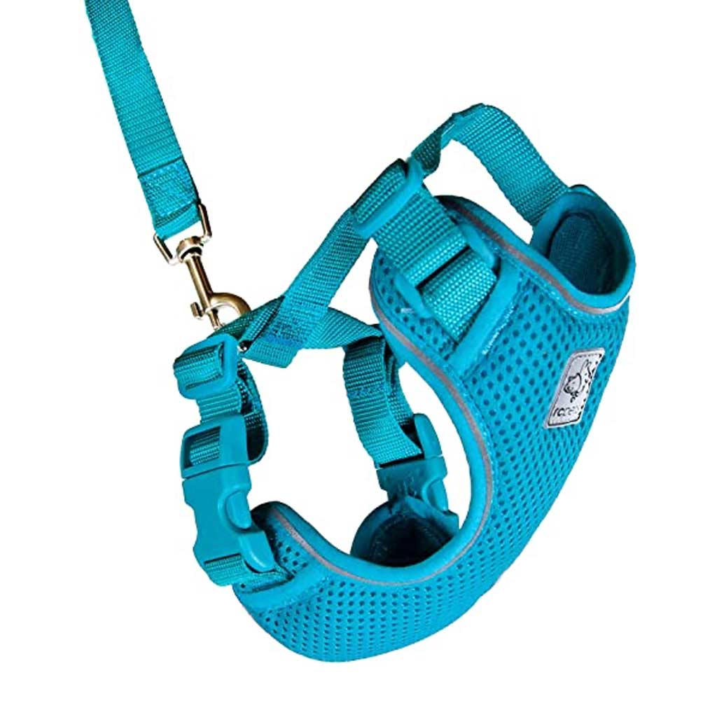 RC PETS ADVENTURE KITTY HARNESS MED TEAL