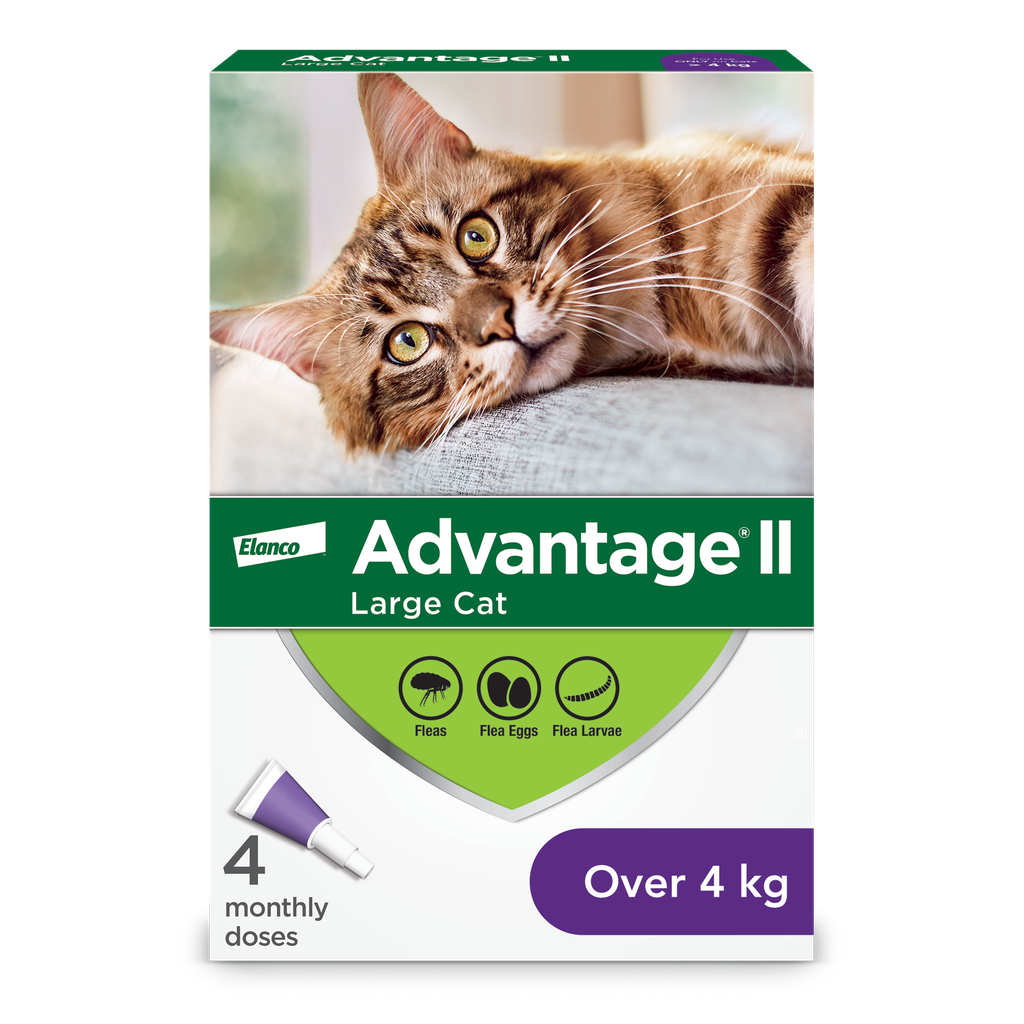 ADVANTAGE II CAT 4 DOSE OVER 4KG