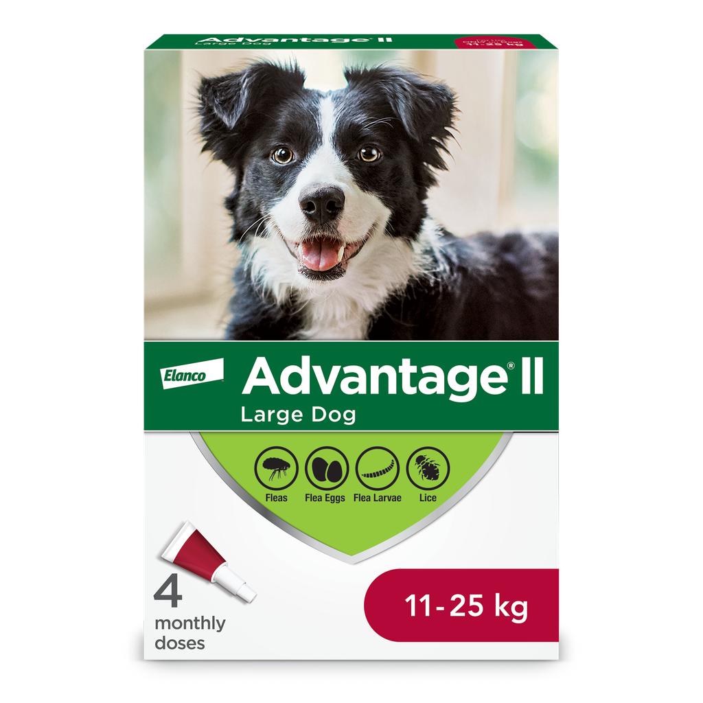 ADVANTIX II 4 DOSE DOGS 11-25KG