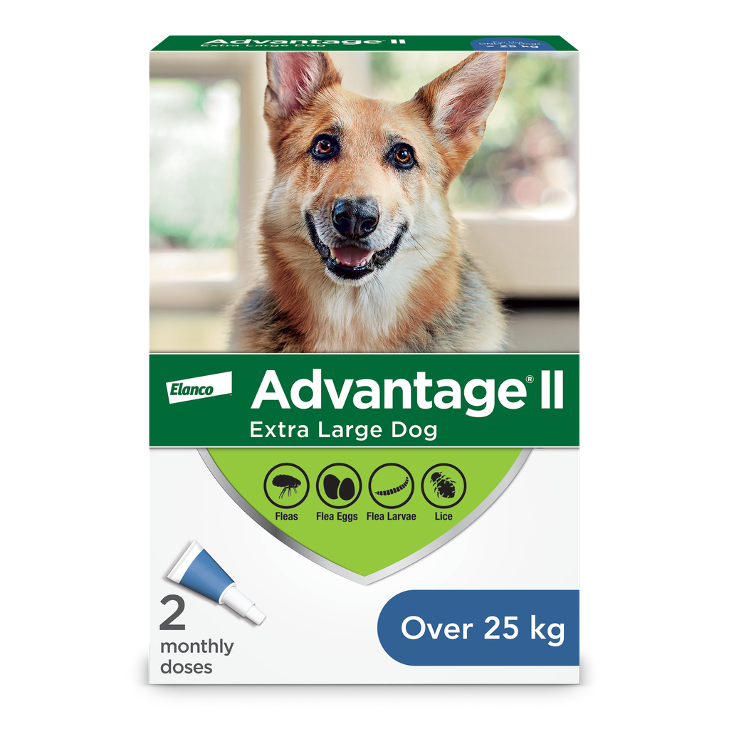 ADVANTIX II 4 DOSE DOGS 25KG+