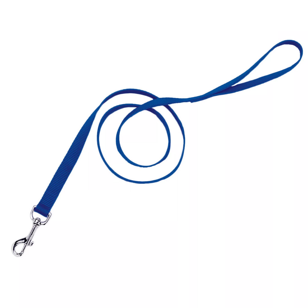 COASTAL SINGLE PLY DOG LEASH BLUE 5/8"X6'
