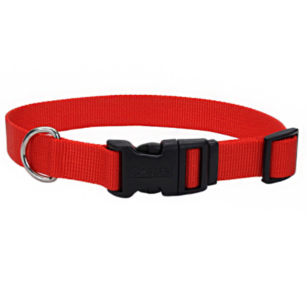 COASTAL ADJUSTABLE DOG COLLAR PLASTIC BUCKLE RED 1"X14-20"