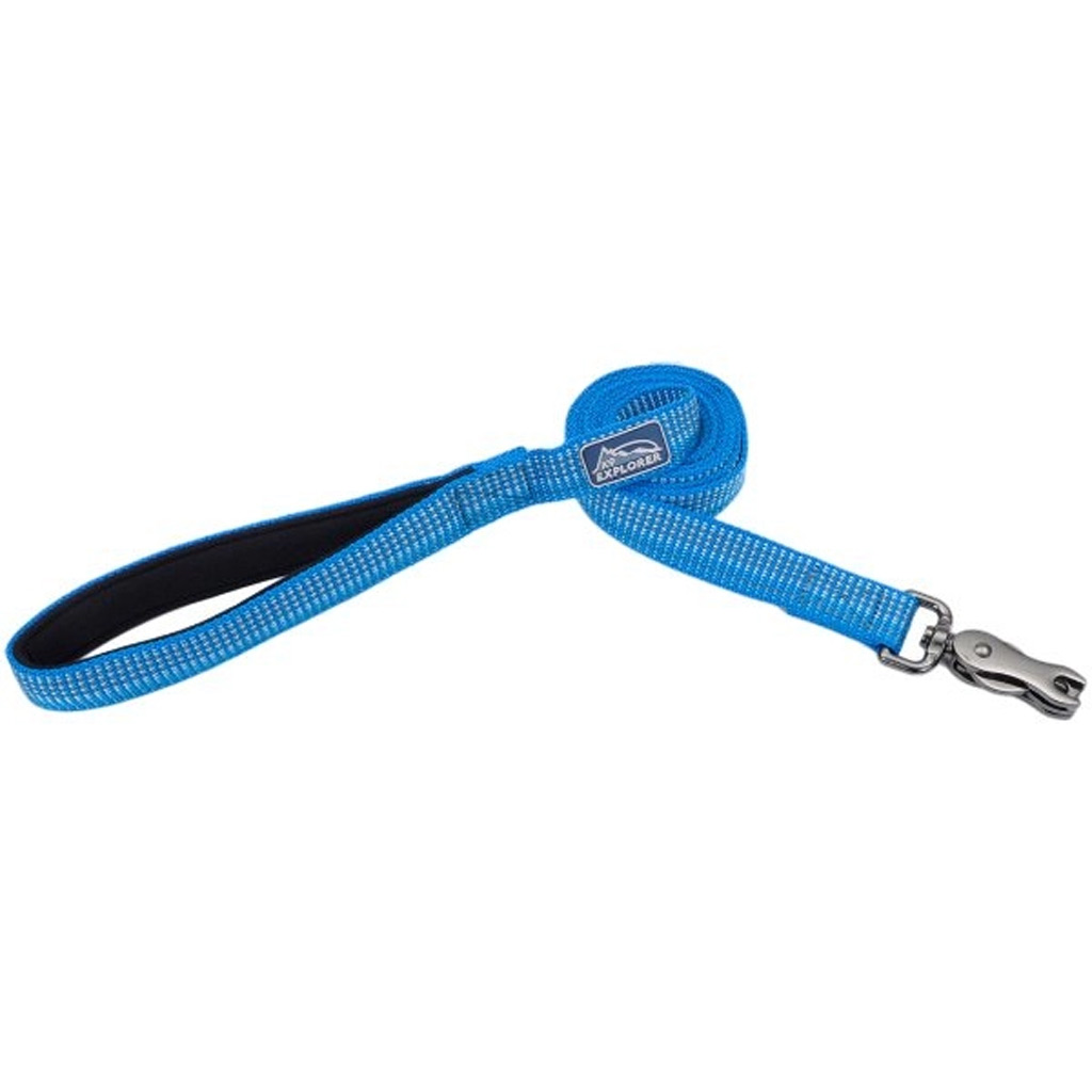 COASTAL K9 EXPLORER REFLECTIVE LEASH LAKE 1"X6'