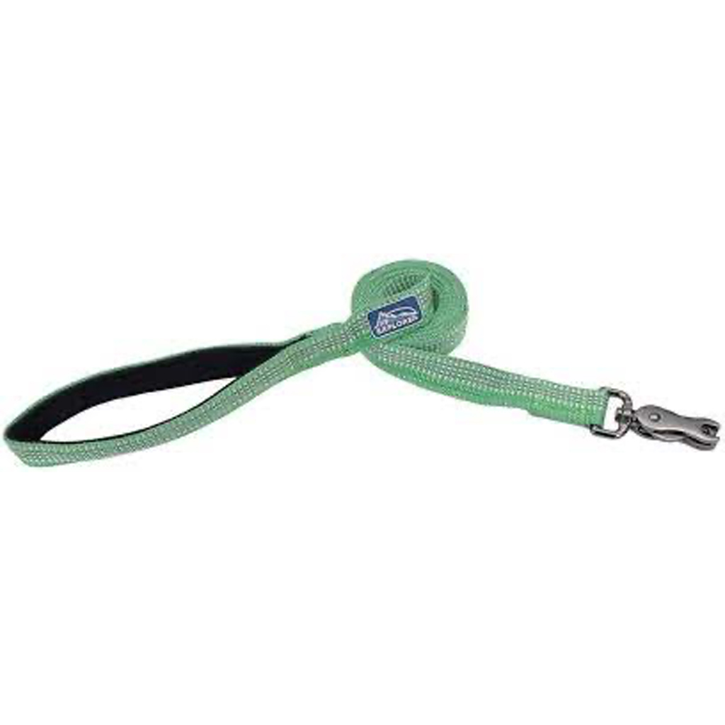COASTAL K9 EXPLORER REFLECTIVE LEASH MEADOW 1"X6'