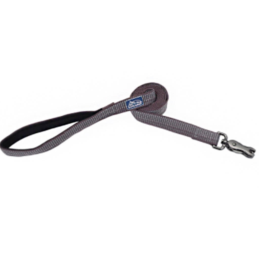 COASTAL K9 EXPLORER REFLECTIVE LEASH MOUNTAIN 1"X6'