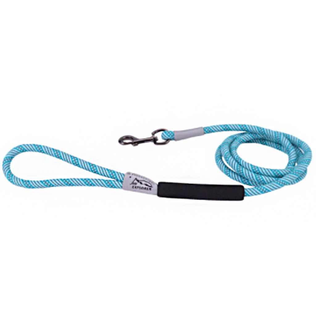 COASTAL K9 EXPLORER REFLECTIVE BRAIDED ROPE SNAP LEASH OCEAN 1/2&quot;X6'