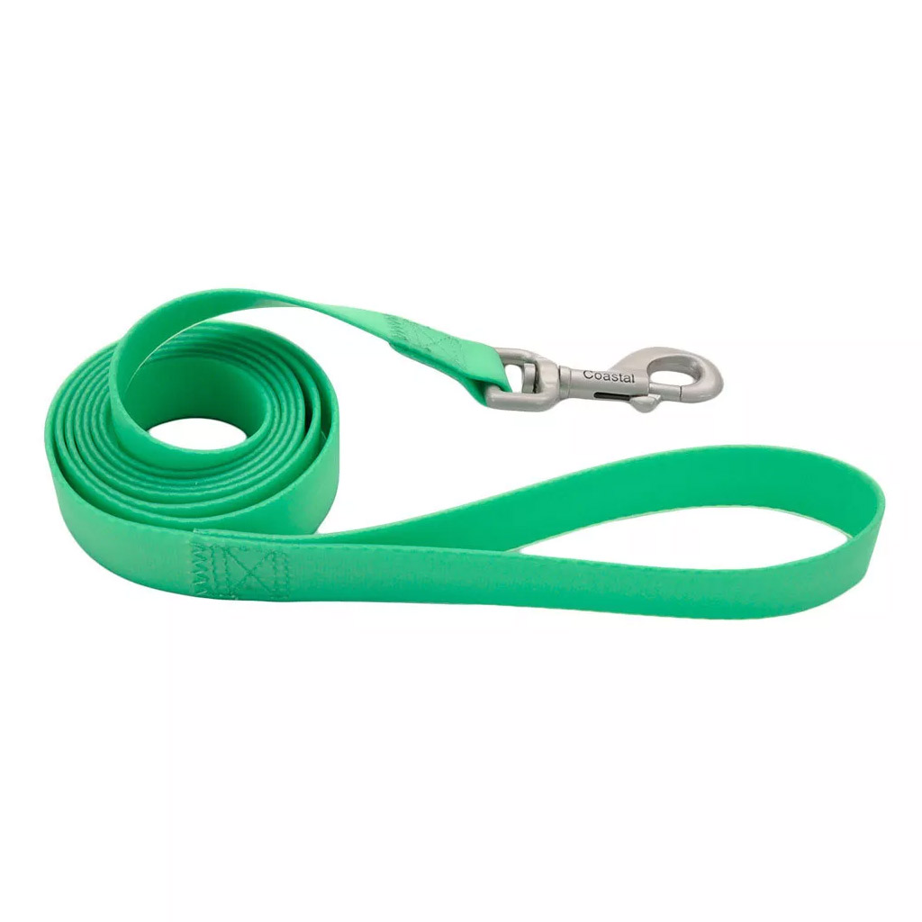 COASTAL PRO ADJ WATERPROOF LEASH LIME 1&quot;X6'