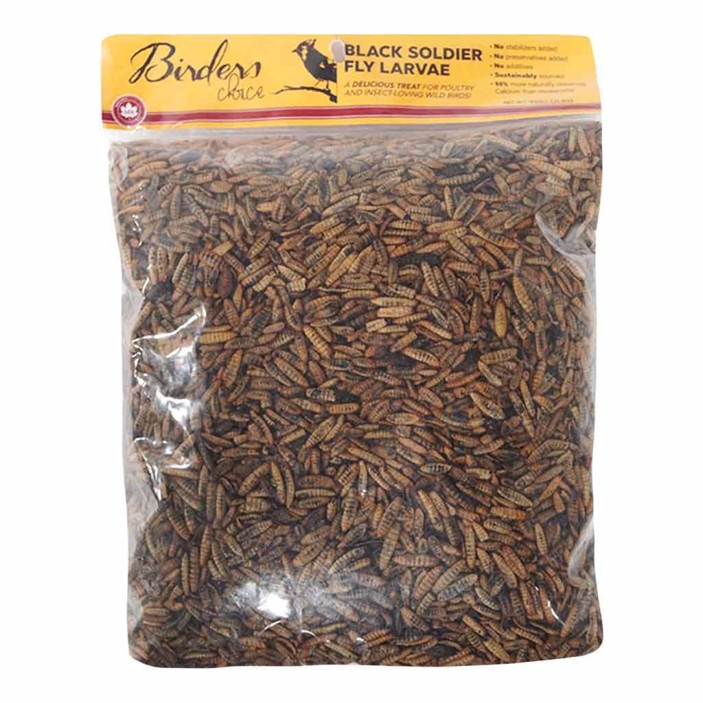 MB BLACK SOLDIER FLY LARVAE 900G
