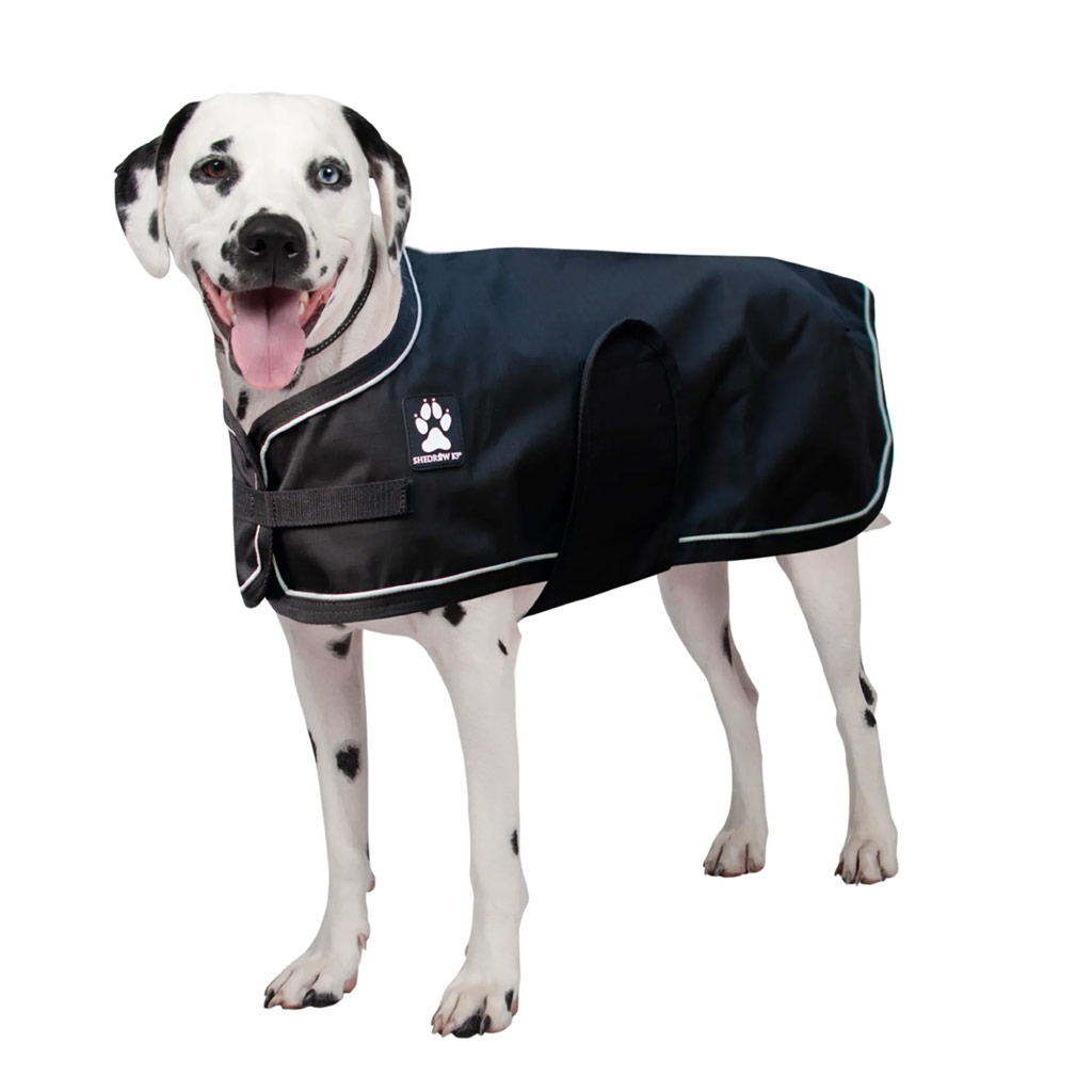 DV - SHEDROW K9 HARBOUR RAIN JACKET BLACK L