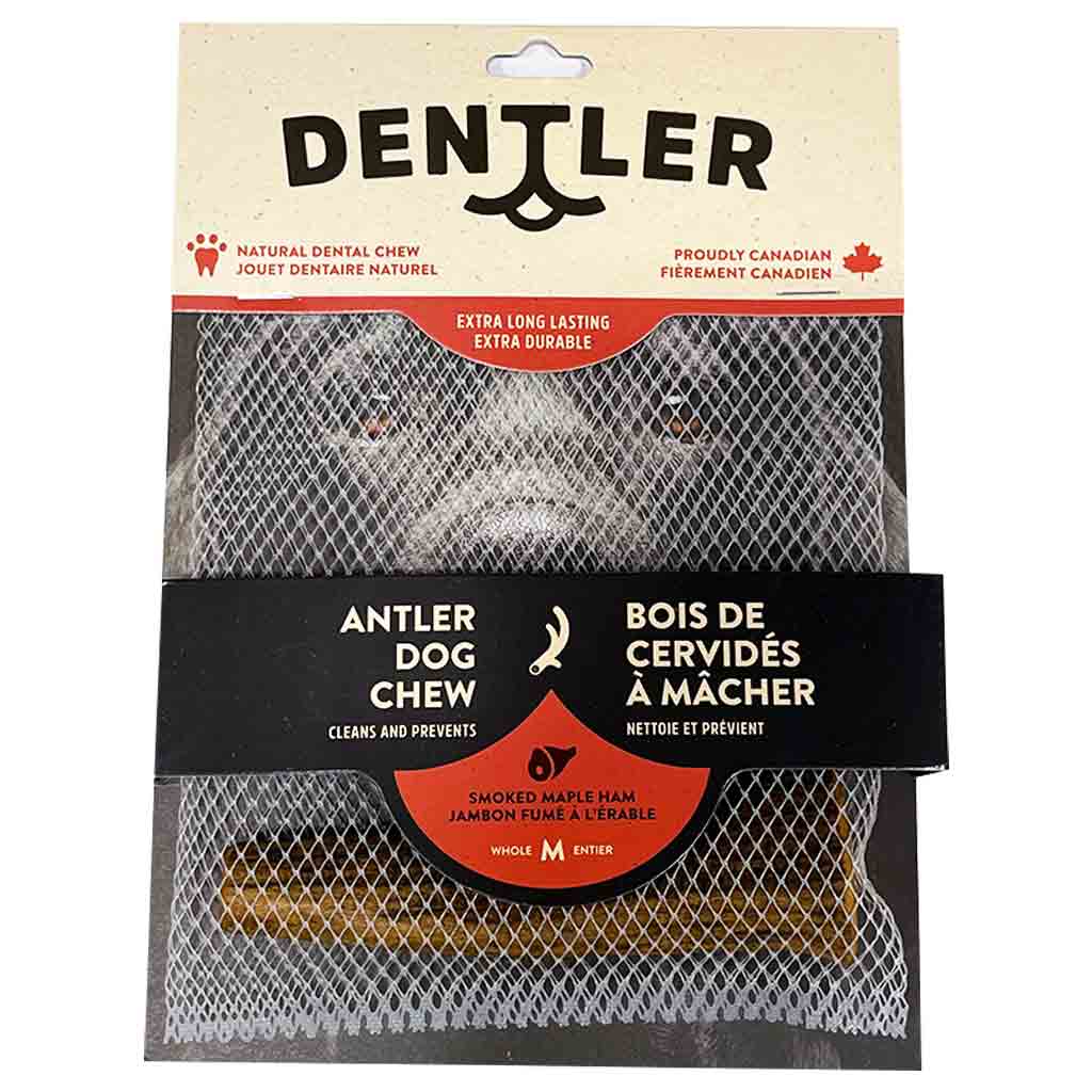 DENTLER WHOLE SMOKED HAM ANTLER DOG CHEW MED