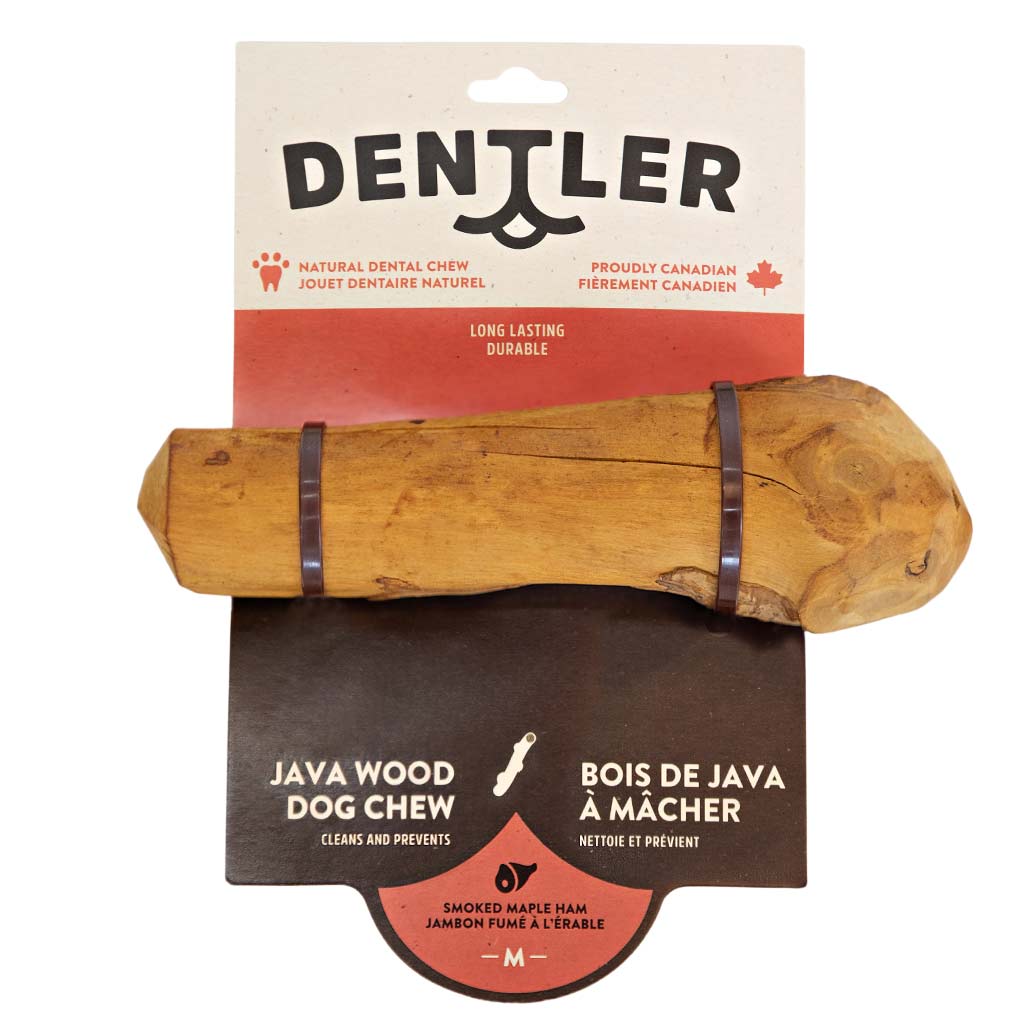 DENTLER JAVA WOOD SMOKED HAM MAPLE DOG CHEW MED