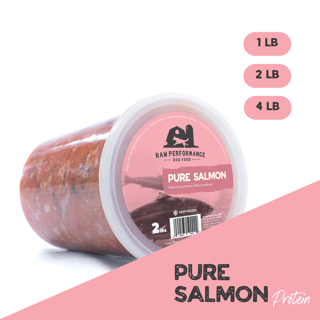 RAW PERFORMANCE PURE SALMON 2LB