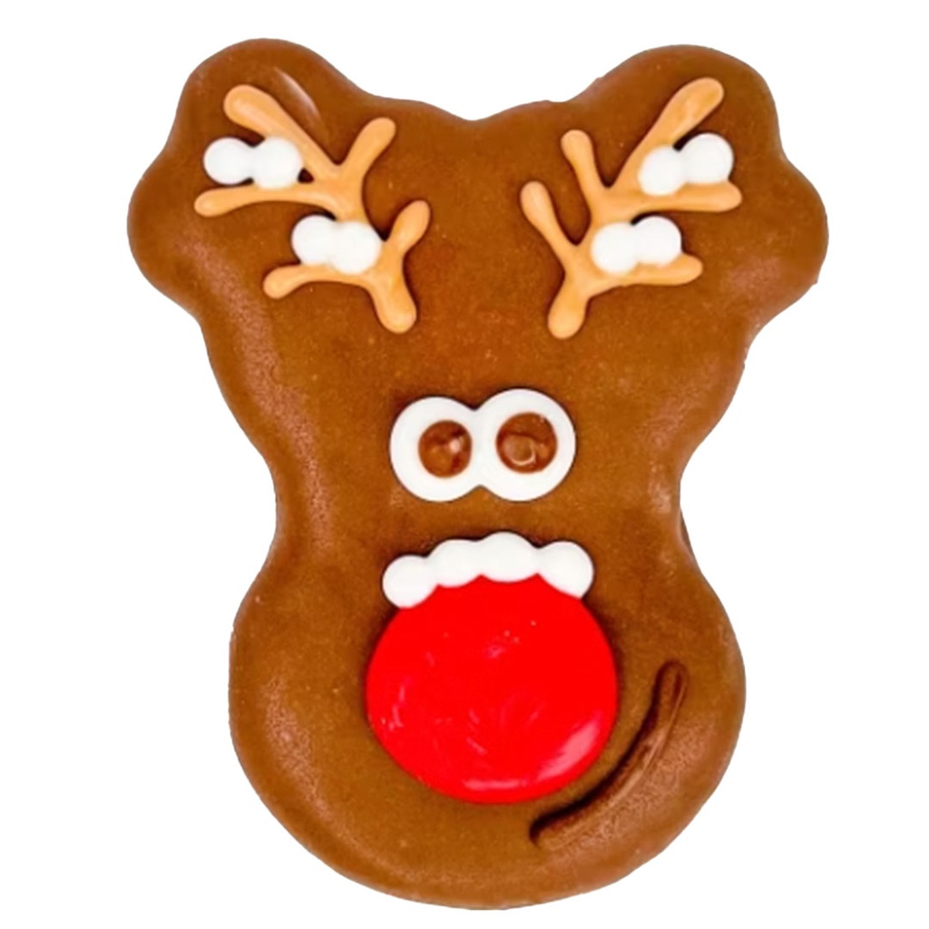 DMB - BOSCO &amp; ROXY'S RUDOLPH XMAS 2023