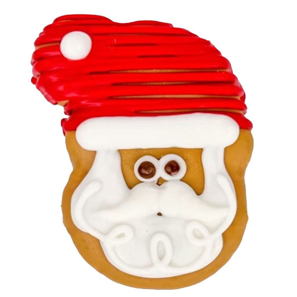 DMB - BOSCO &amp; ROXY'S SANTA XMAS 2023