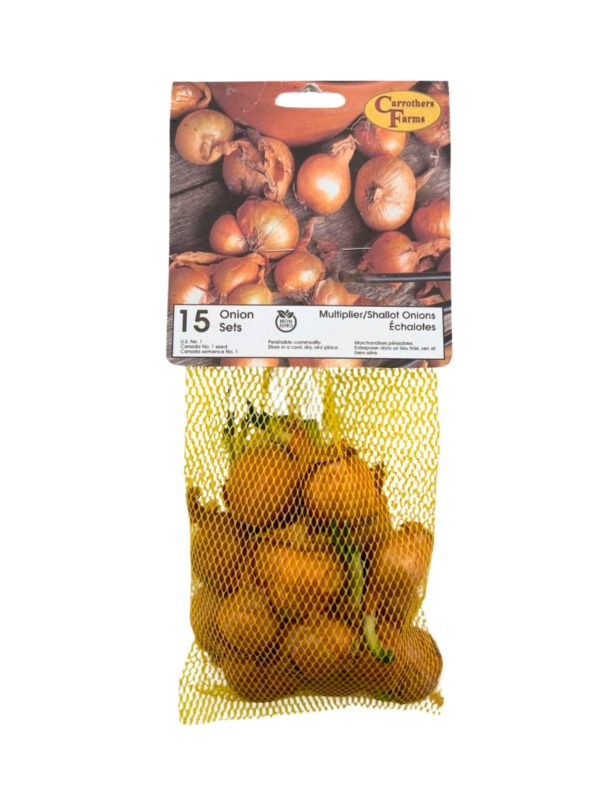 CARROTHERS ONIONS MULTIPLIER/SHALLOT BULBS (15PK)