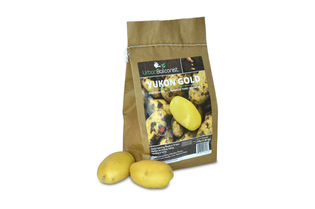 URBAN BALCONIST YUKON GOLD POTATOES 3LB