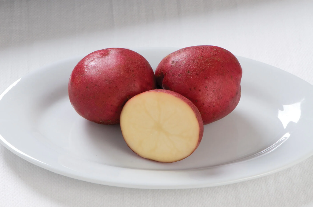 URBAN BALCONIST NORLAND POTATOES 3LB