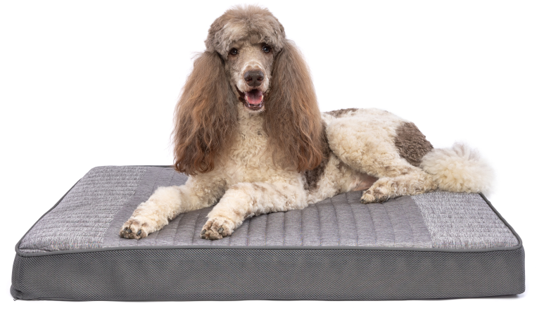 CARPENTER COLE PET BED 30" x 40" x 4" FOAM &amp; SERENE COOLING BED