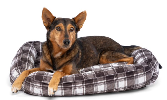 DMB - CARPENTER RICKY PET BED 20" x 30" x 8"