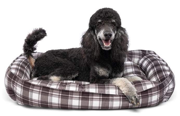 DMB - CARPENTER RICKY PET BED  27&quot; x 36&quot; x 9&quot;