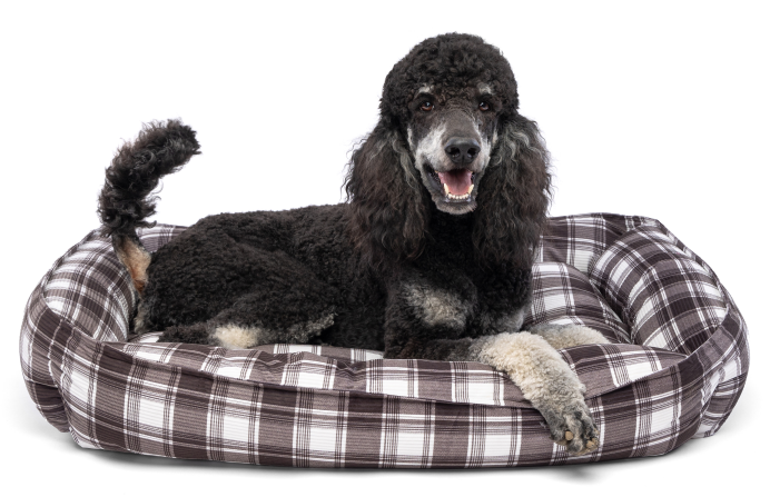 DMB - CARPENTER RICKY PET BED  27" x 36" x 9"