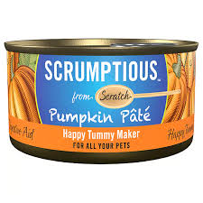 SCRUMPTIOUS CAT PUMPKIN PATE 79G