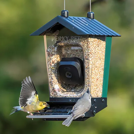 PERKY PET SMART CAMERA SQUIRREL RESISTANT MIXED SEED BIRD FEEDER