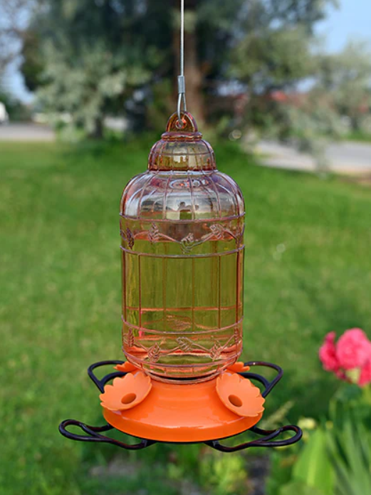 PINEBUSH ORIOLE GLASS BIRD CAGE ANTIQUE STYLE FEEDER 9.5"