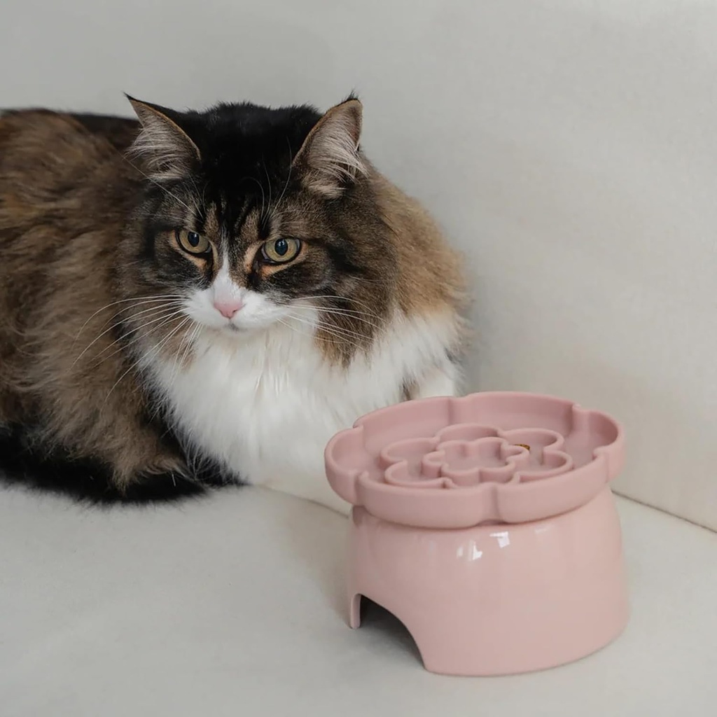 DEXYPAWS RAISED CEREMIC SLOW FEEDER BOWL BLUSH PINK