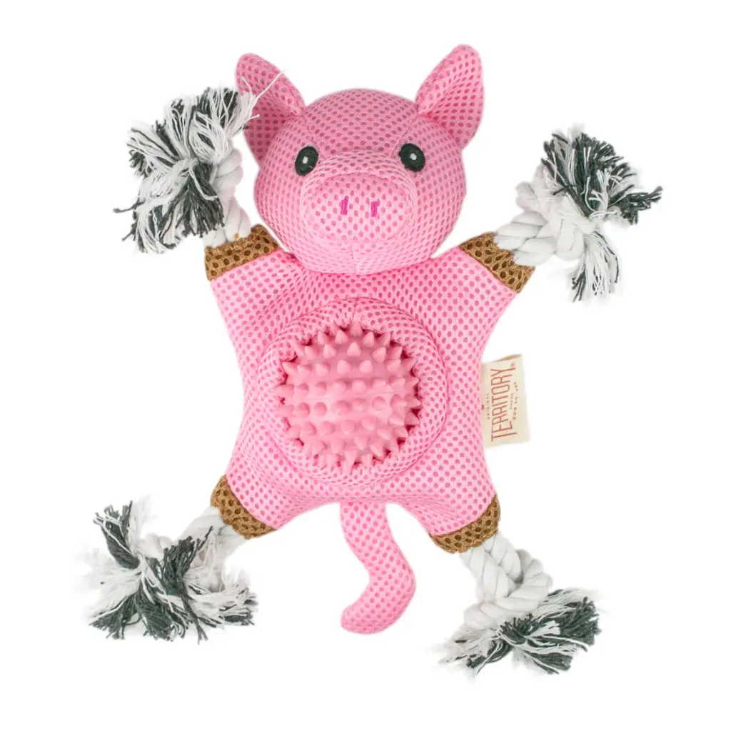 SB - ORIGINAL TERRITORY FARM & FRIEND 2 IN 1 PIG TOY