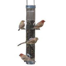 [10048636] DV - DROLL YANKEE RING PULL 6 PORT SUNFLOWER FEEDER