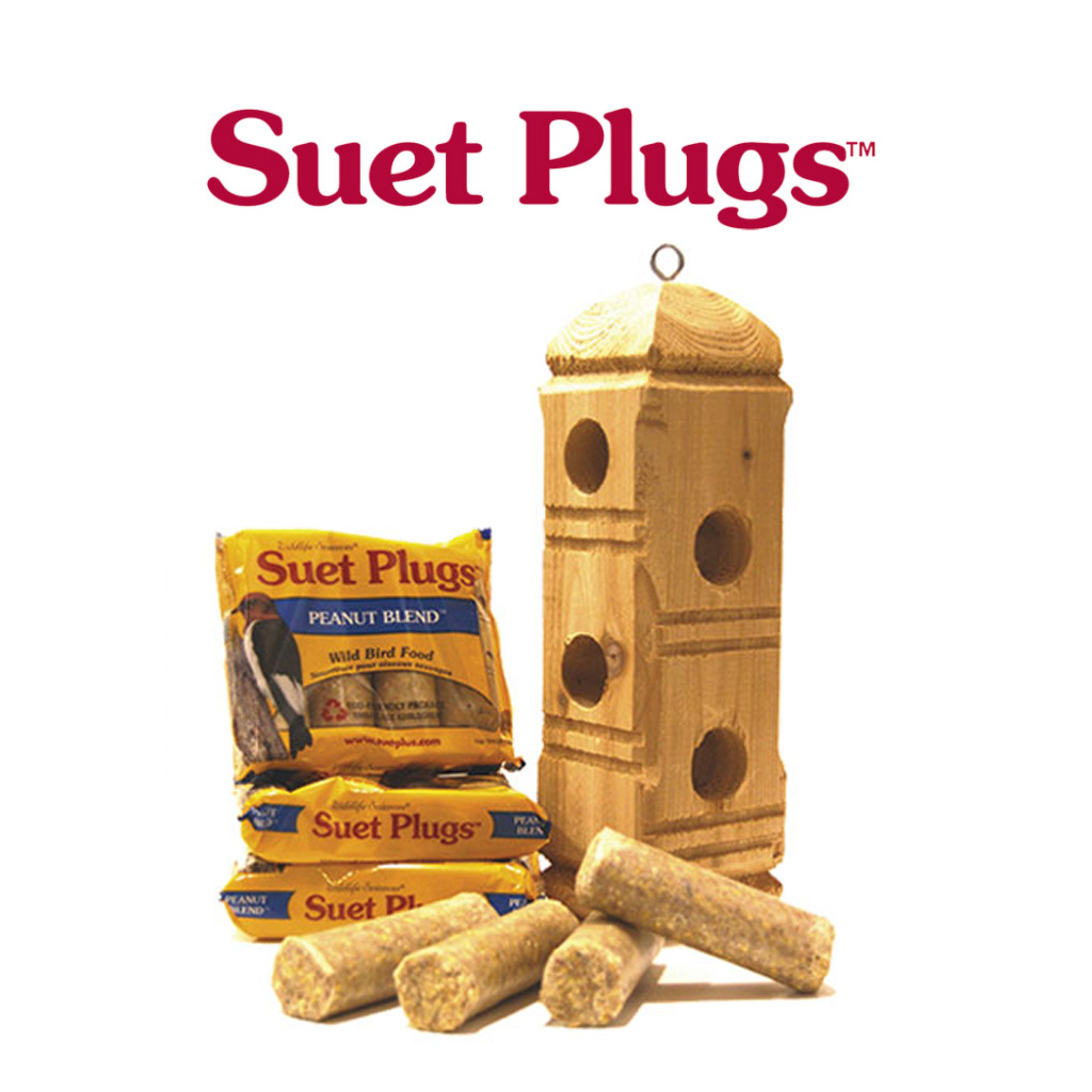 A promo image of Wildlife Science suet plugs in its packaging beside a wooden suet plug feeder and some loose suet plugs laying in front on a white background.