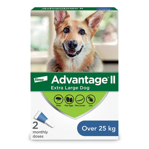 [10080202] ADVANTIX II 4 DOSE DOGS 25KG+