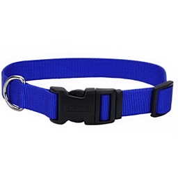 [10080784] COASTAL ADJUSTABLE DOG COLLAR PLASTIC BUCKLE BLUE 3/8&quot;X8-12&quot;