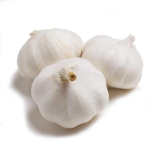 [10095138] CARROTHERS GARLIC BULBS (3PK)