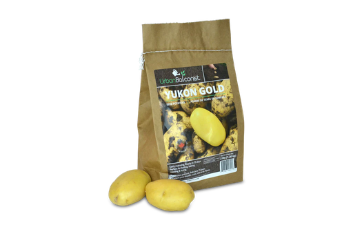 [10095140] URBAN BALCONIST YUKON GOLD POTATOES 3LB