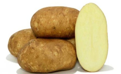 [10095146] URBAN BALCONIST GOLDRUSH RUSSET POTATOES 3LB