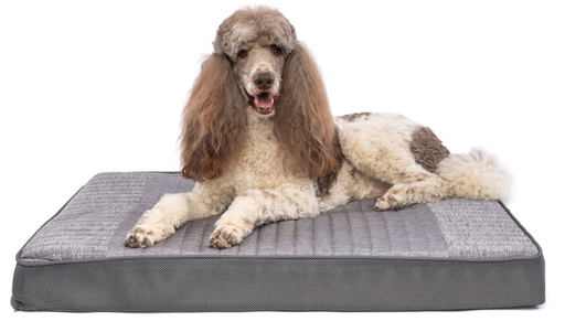 [10095248] CARPENTER COLE PET BED 30" x 40" x 4" FOAM & SERENE COOLING BED