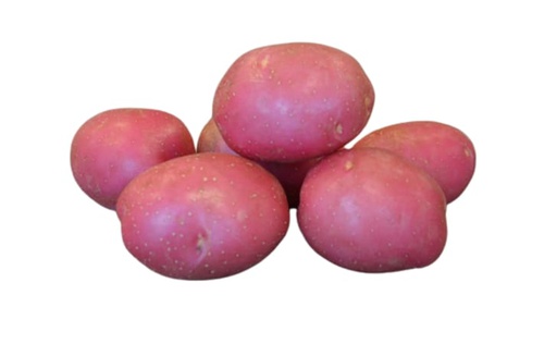 [10112992] URBAN BALCONIST CERATA KWS POTATOES 3LB