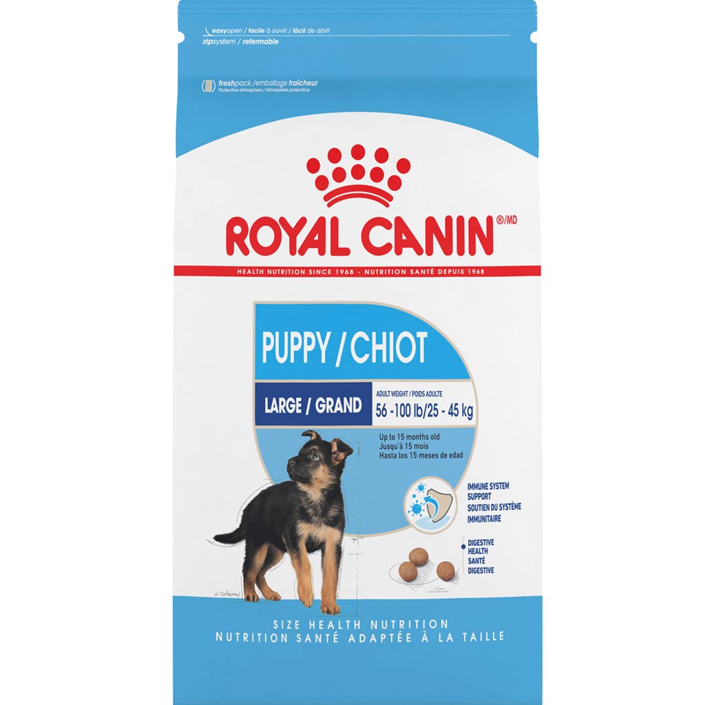 DR - ROYAL CANIN DOG LARGE BREED PUPPY 35LB