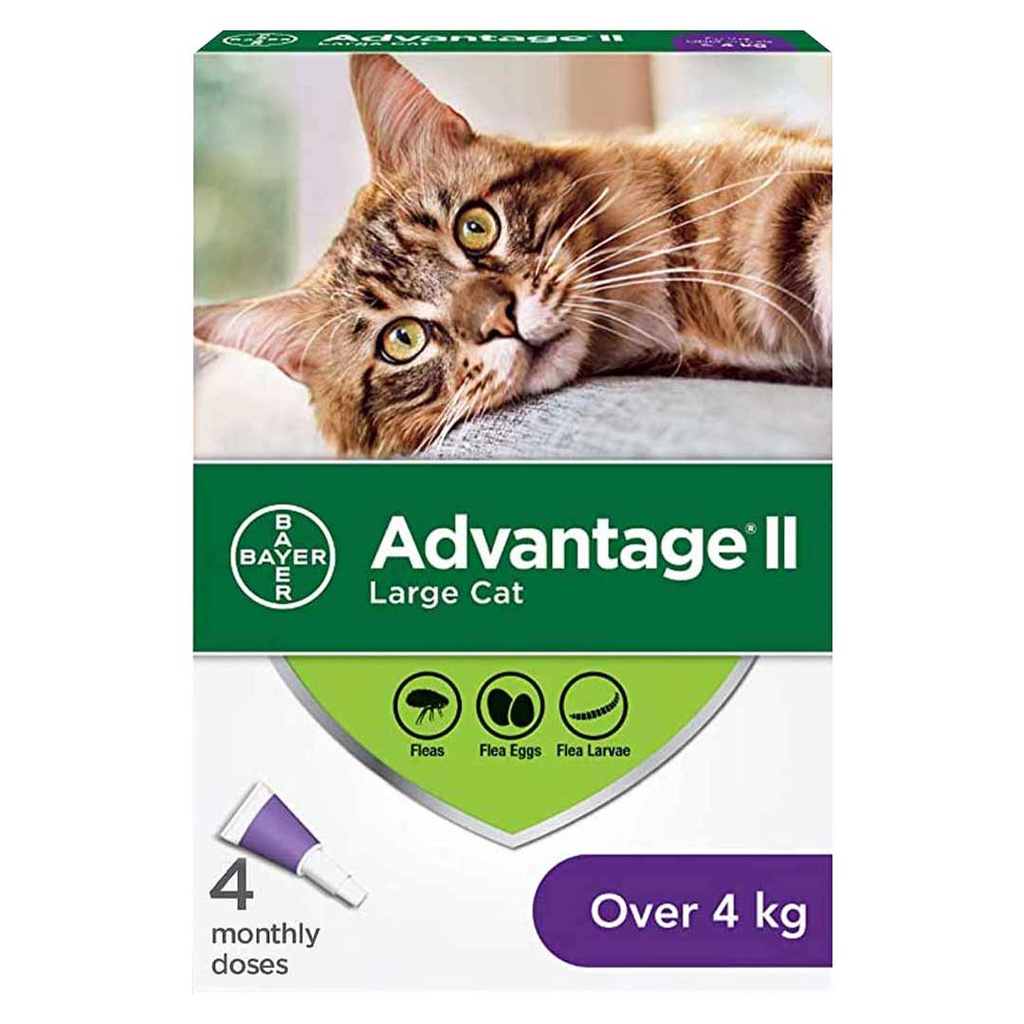 ADVANTAGE II CAT 4 DOSE OVER 4KG