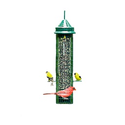 [36B-01015] SQUIRREL BUSTER CLASSIC